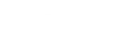 Skyrover Logo